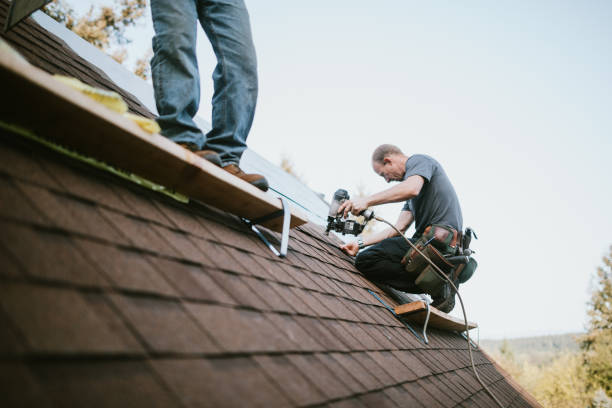 Professional Roofing Contractor in Sparta, MI